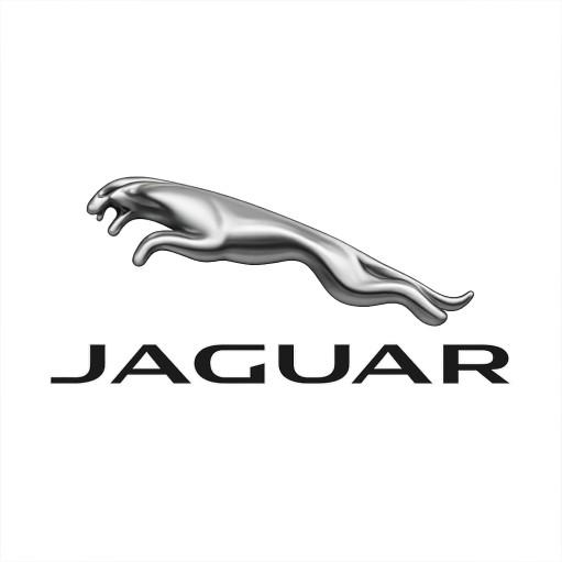 JAGUAR 10527 Asli
